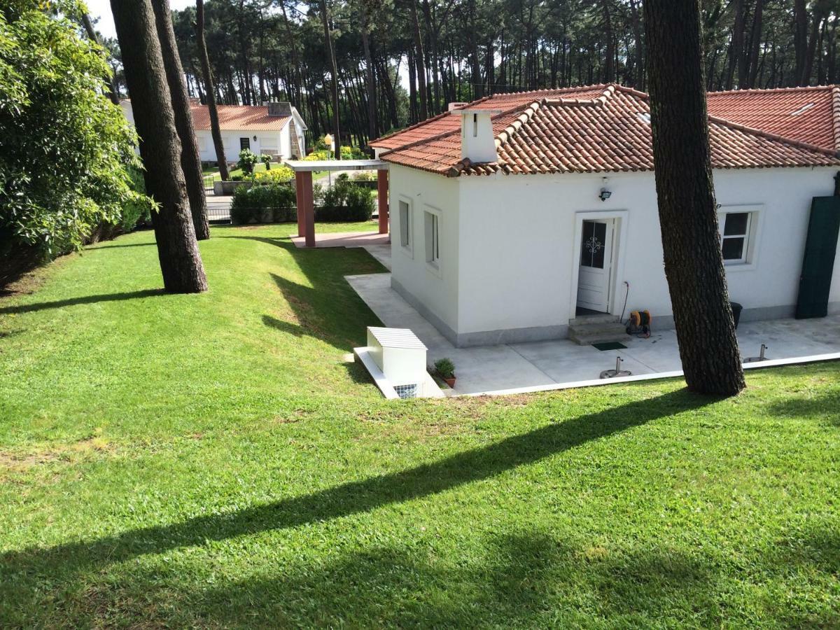 فيلا Casas Do Cabedelo Darque المظهر الخارجي الصورة